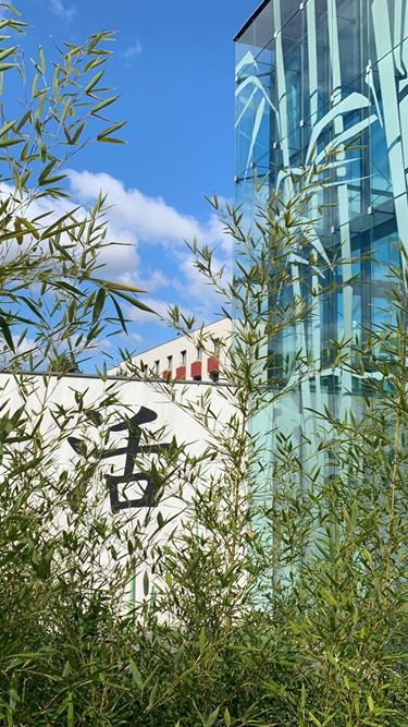 Finden Sie Ihre innere Balance Außenansicht Linsberg Asia mit Bambusbüschen davor.